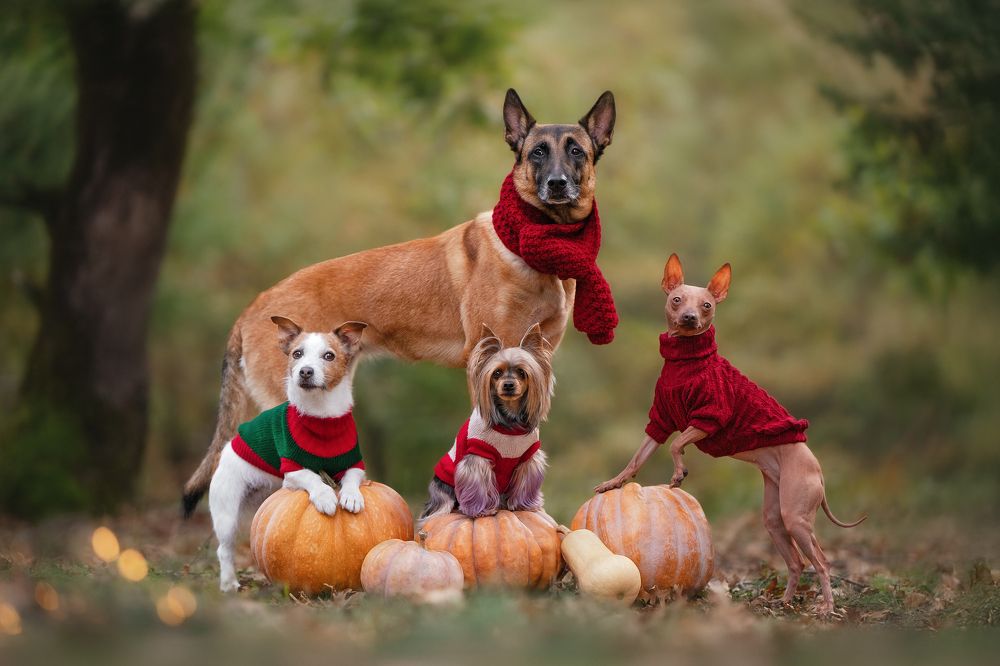 Photograph by Андрианова Ирина