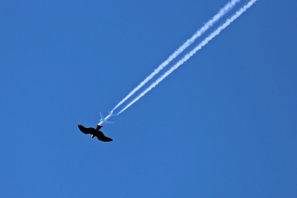 Photograph by Александр Велигура