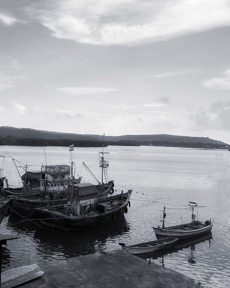 Photograph by Ojas Gawali