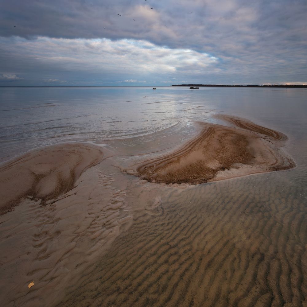 Photograph by Щепотина Татьяна