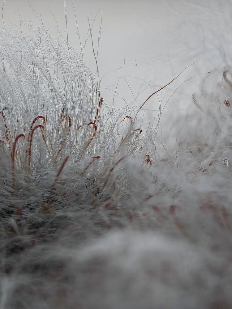 Photograph by Михаил Моисеев