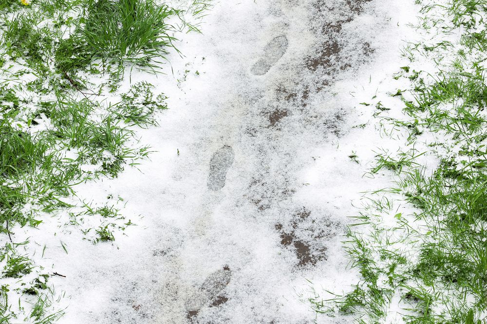 Photograph by Толмачёва Ирина