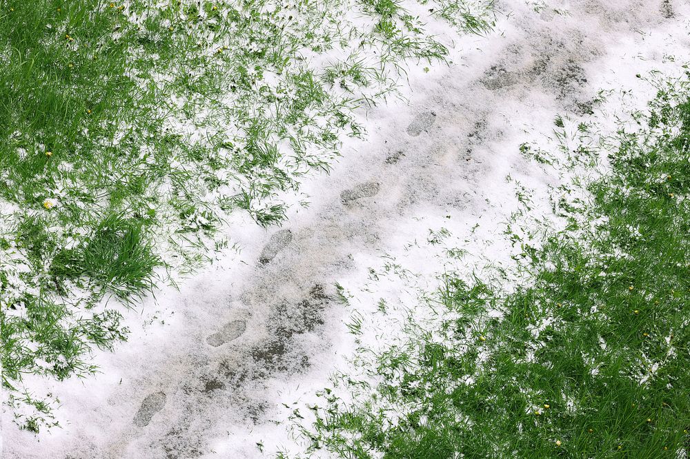 Photograph by Толмачёва Ирина