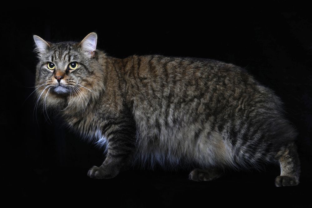 Photograph by Елена Лапочкина