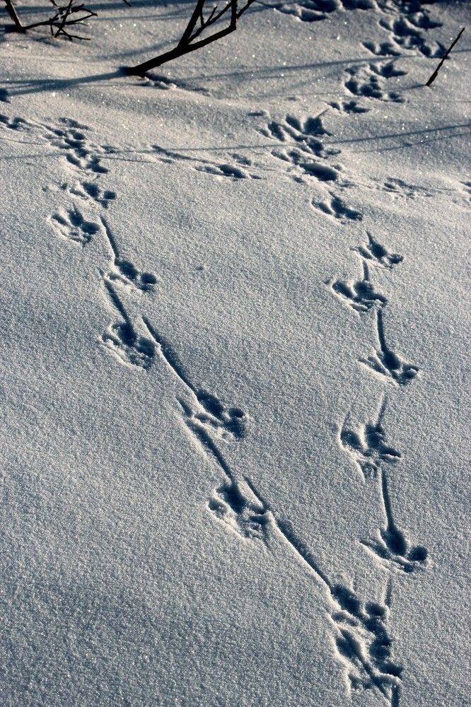 Photograph by Александр Велигура