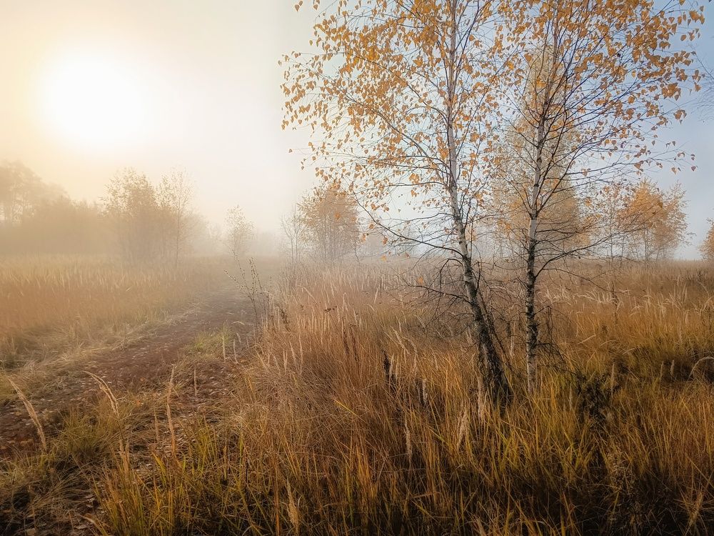 Photograph by Кондрашова Светлана