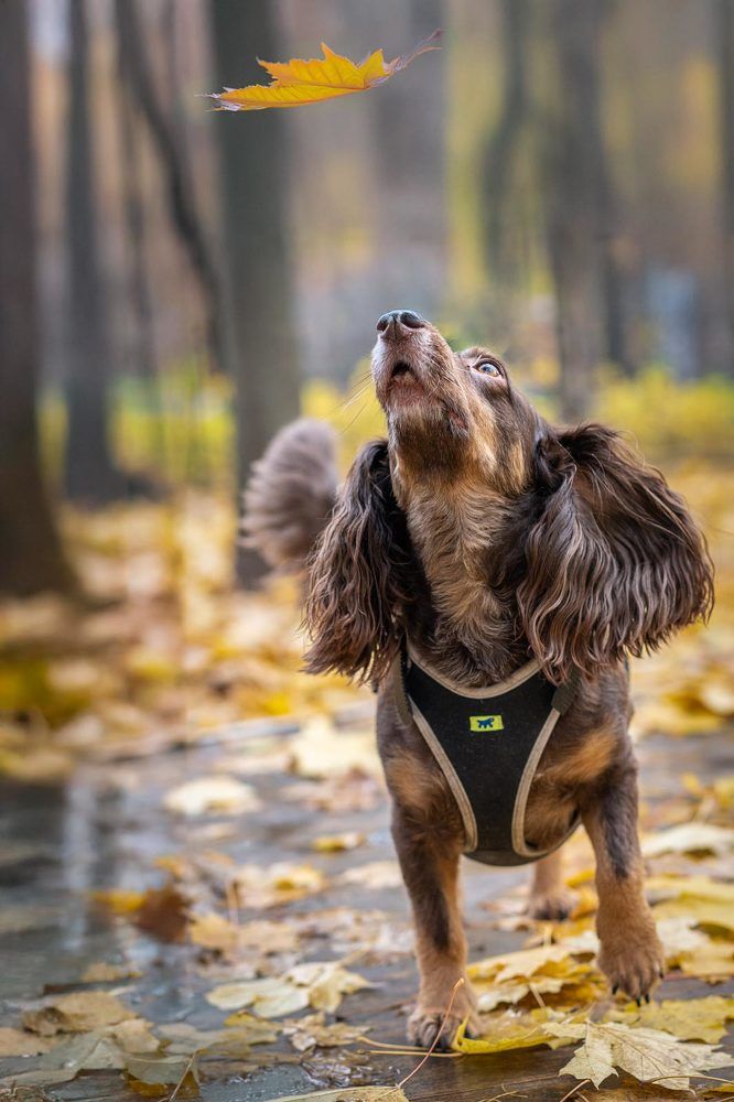 Photograph by Irina Ostapenko (Nepavlova)