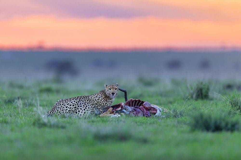 Photograph by Pothanis Sudhir