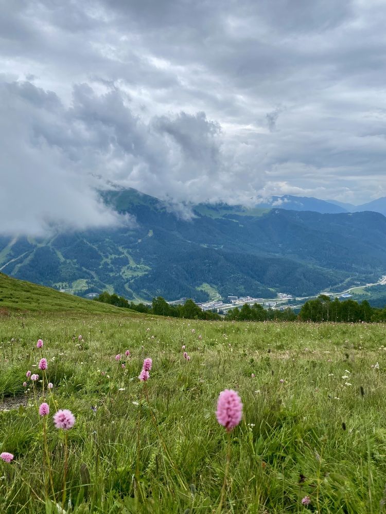 Photograph by Марианна Дзюба