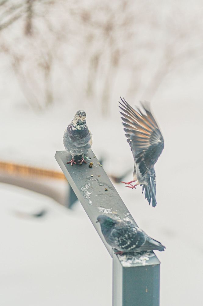 Photograph by Ольга Кушнарева