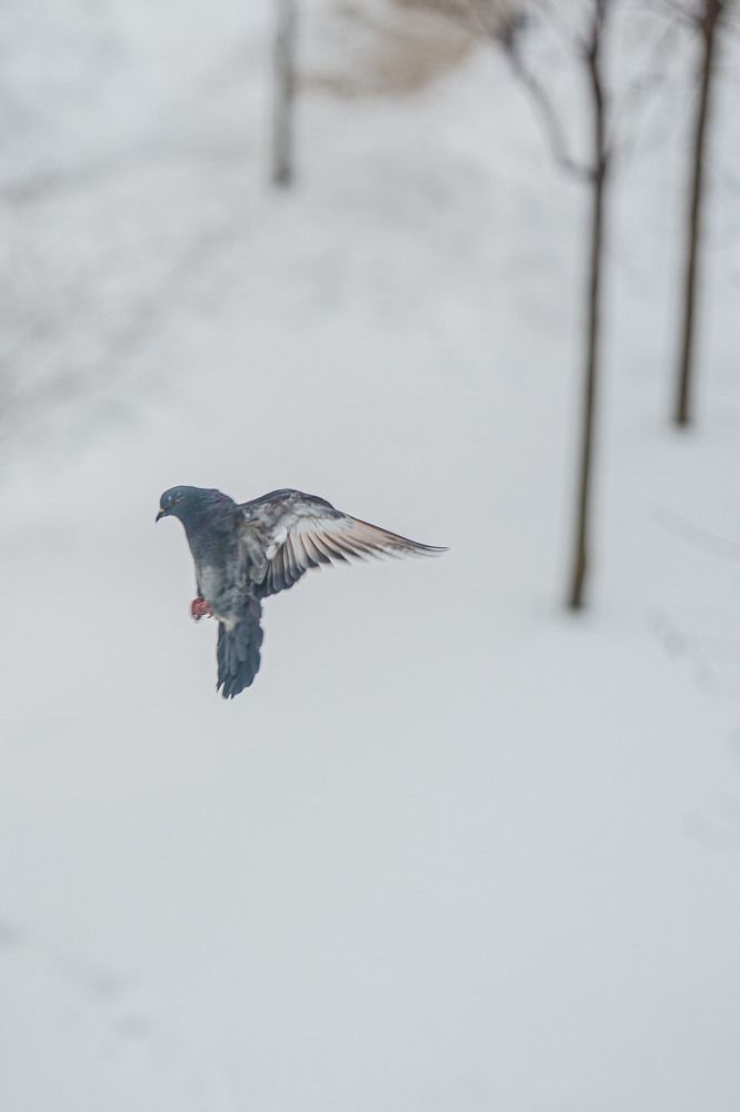 Photograph by Ольга Кушнарева