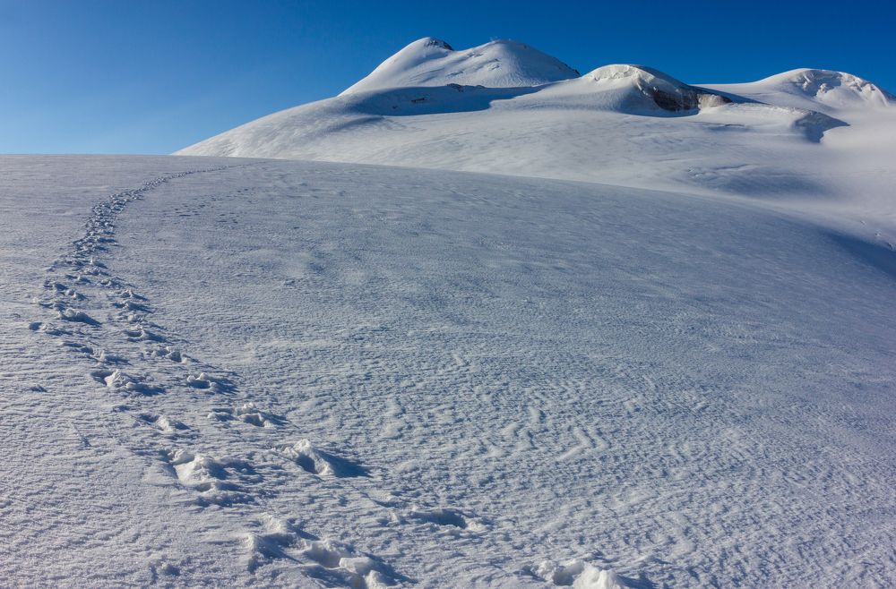 Photograph by Алексей