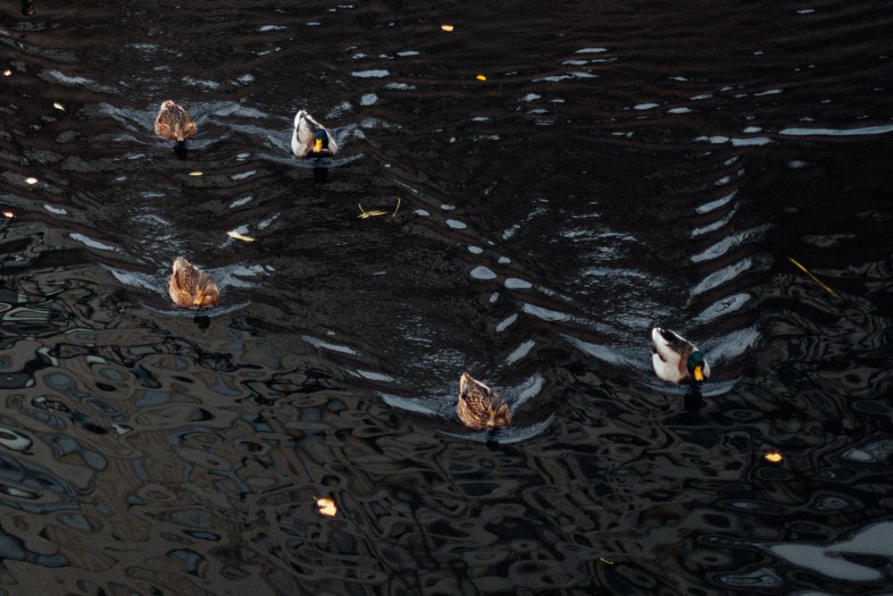 Photograph by Viktoriia Shin