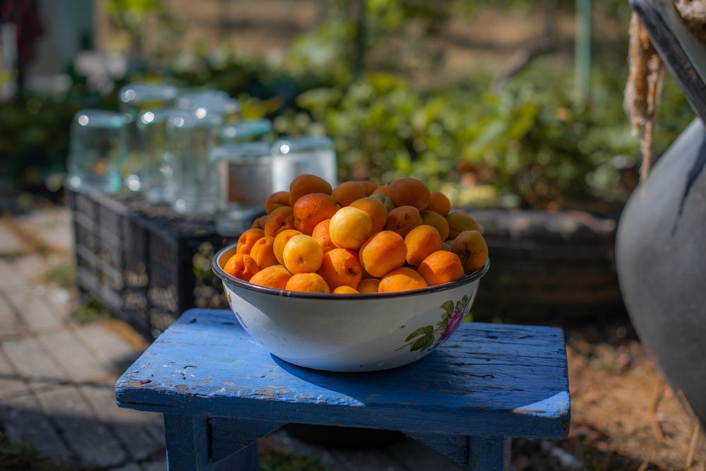 Photograph by Галина Еровенко