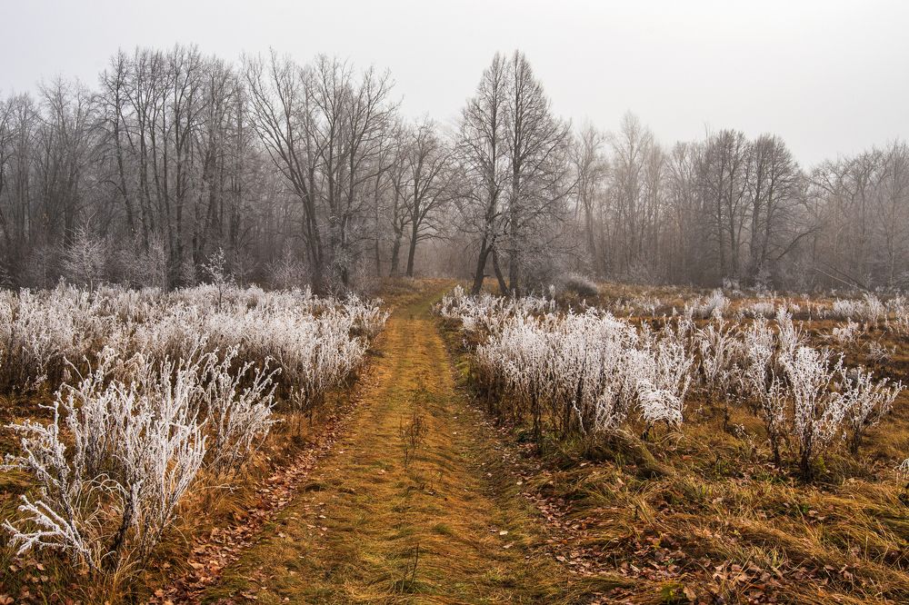 Photograph by Илфир Исламгазин