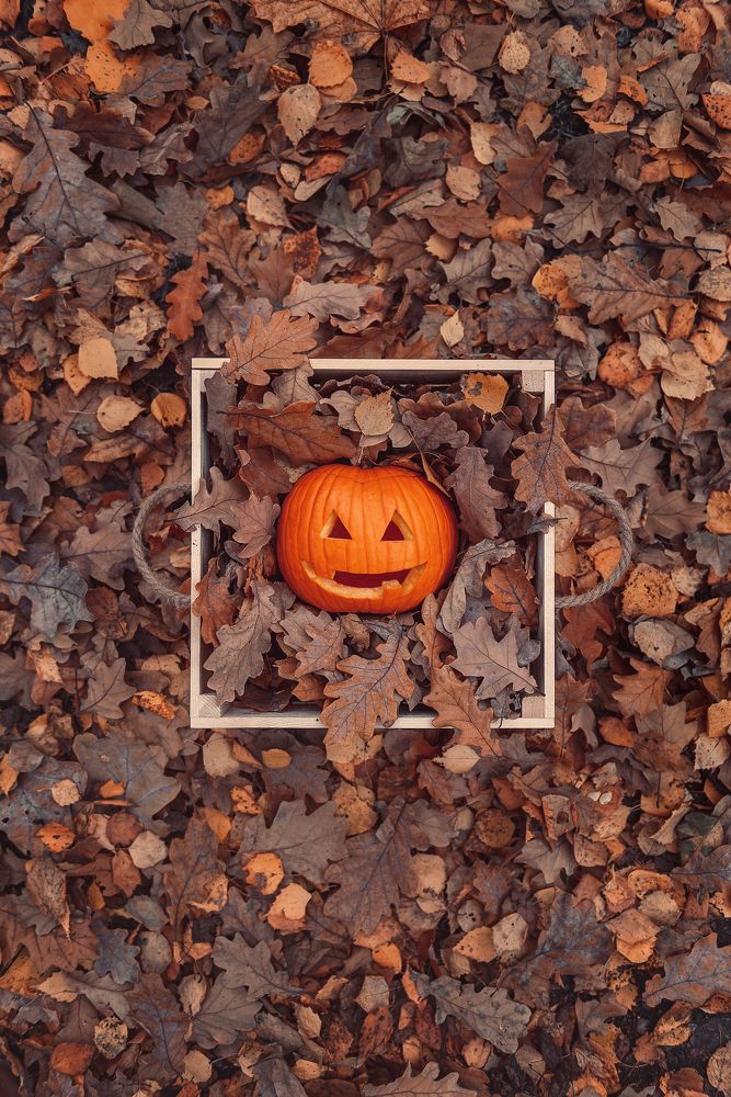 Фотография автора Анастасия Мазурева