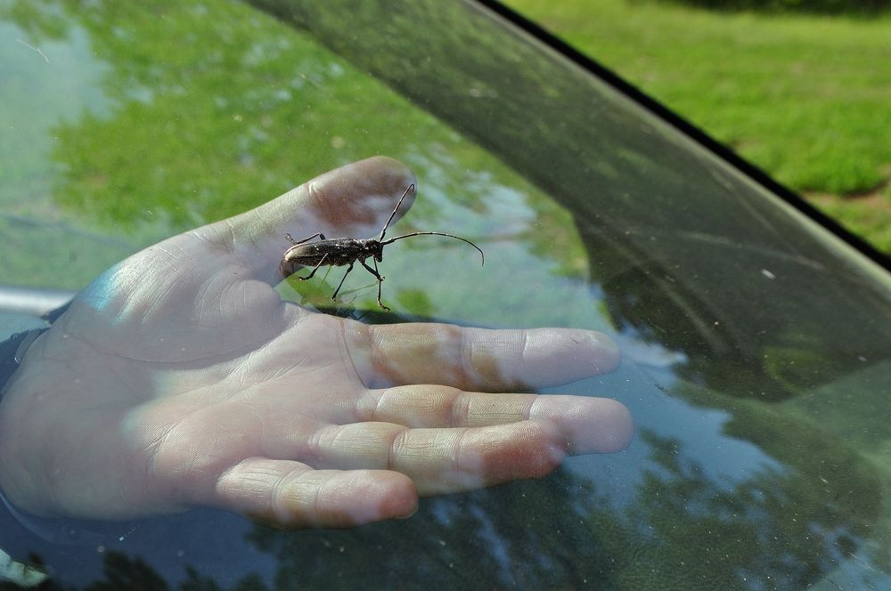 Photograph by Евгения Вакарчук