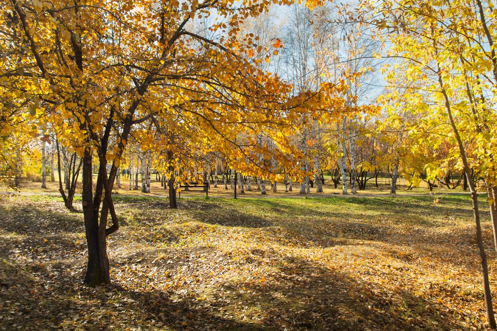 Photograph by Виктор Береснев