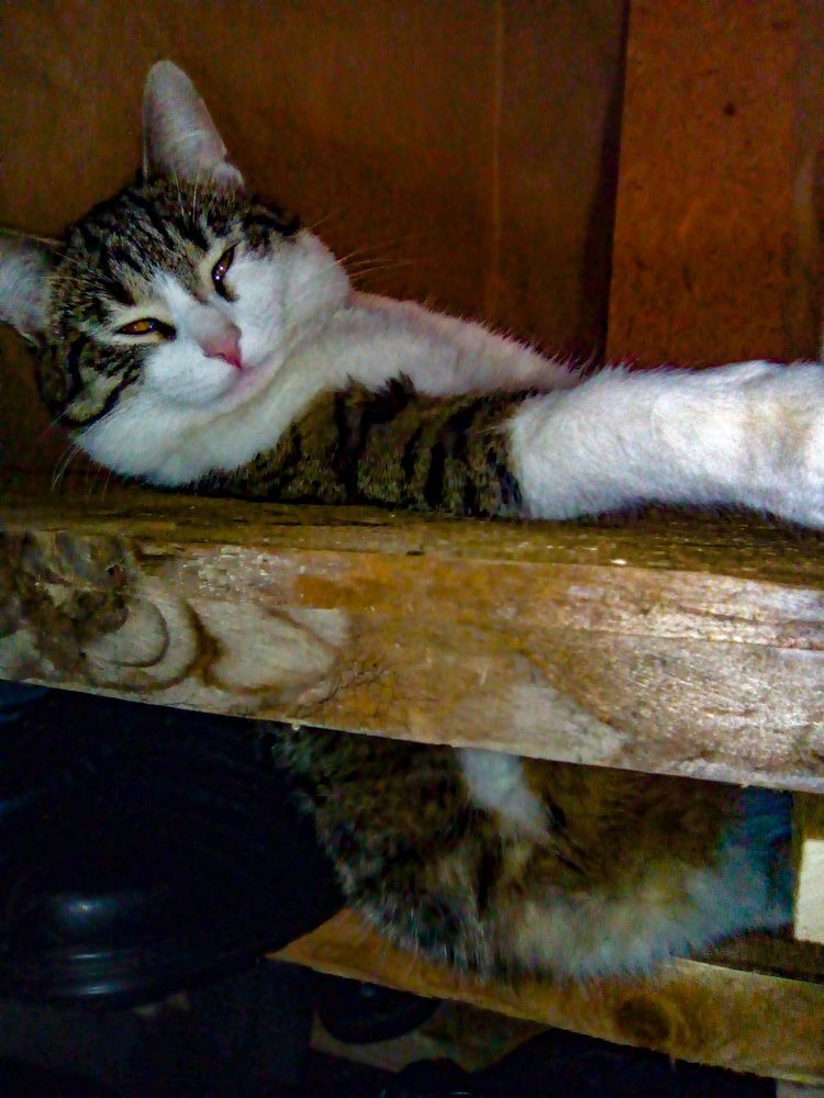 Photograph by Светлана Петрова