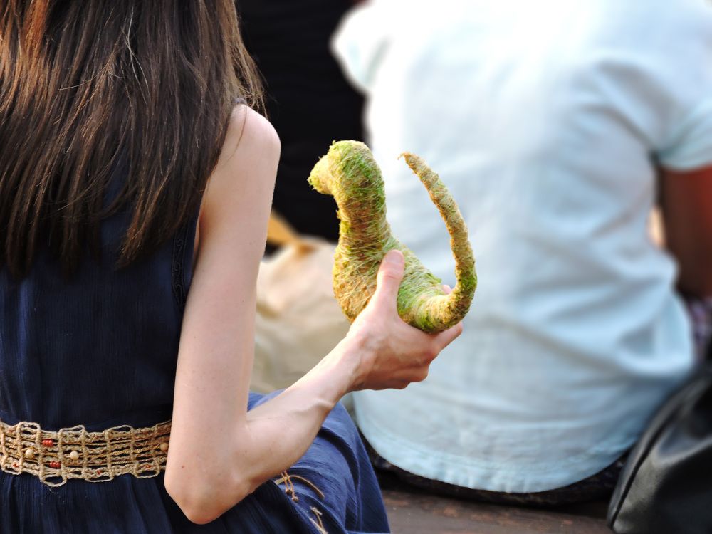 Дракончик / A little dragon