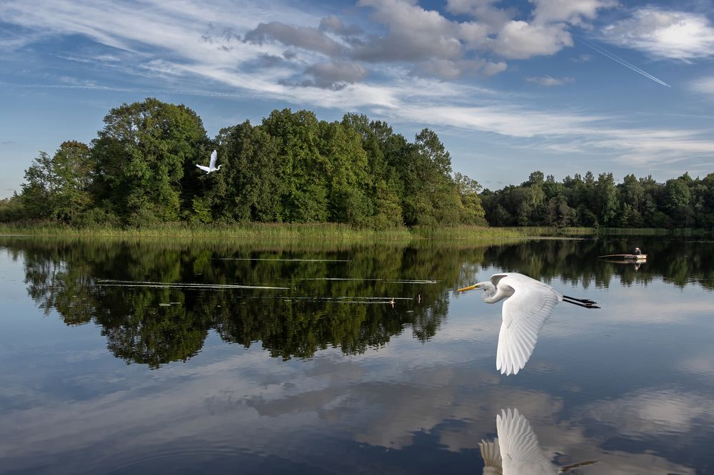 Photograph by Игорь Гусаков