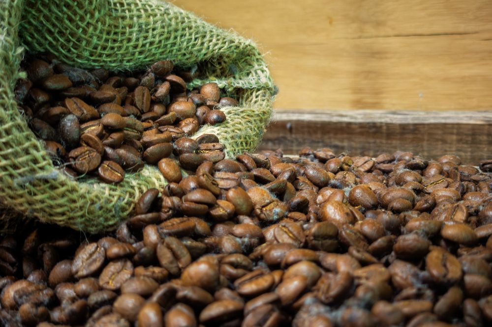 Photograph by CARLOS KIFFER