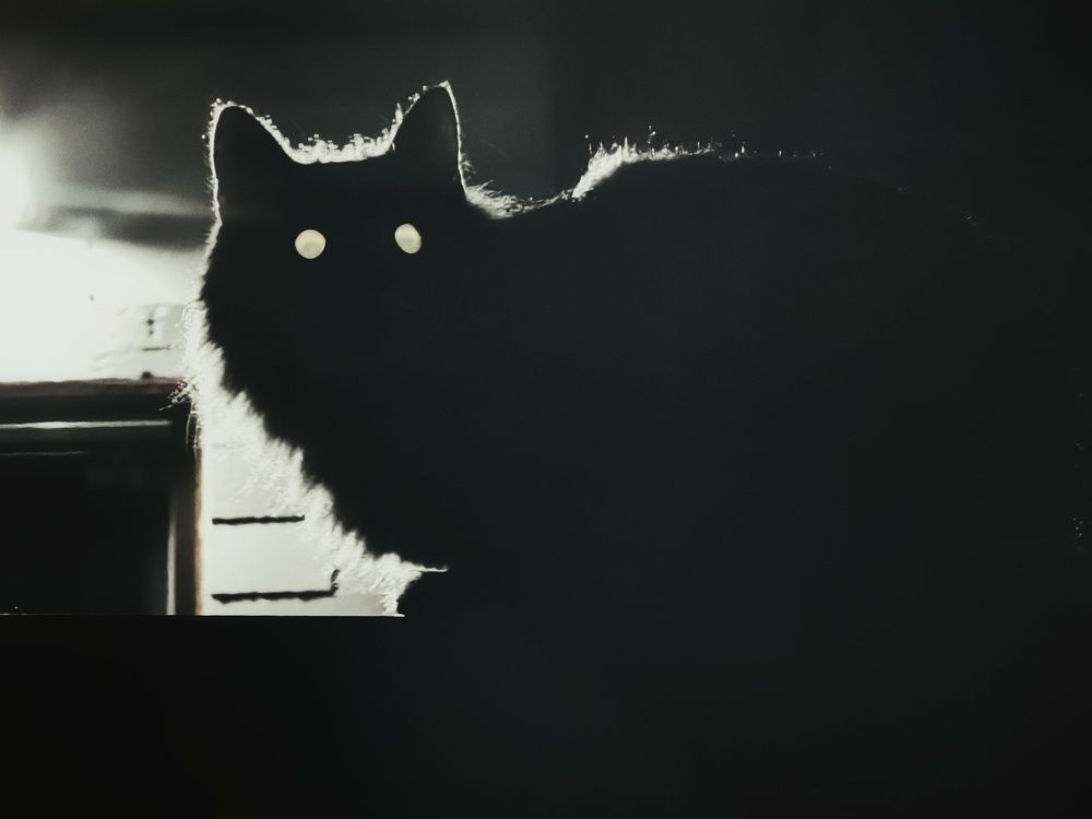 Photograph by Ekaterina Fadeeva