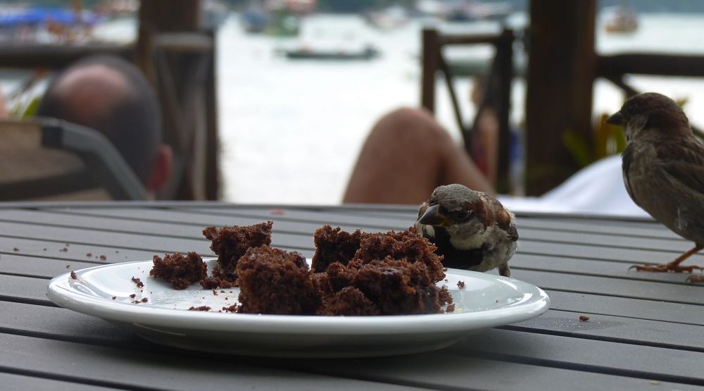 Photograph by SILVIA CLELIA AGOSTINIS