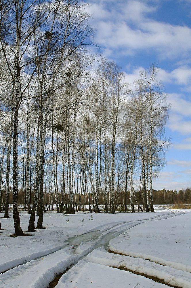 Фотография автора Николай Семенец