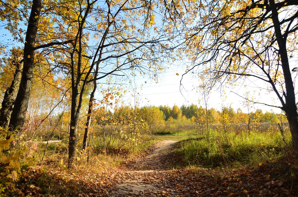 Осень в экопарке