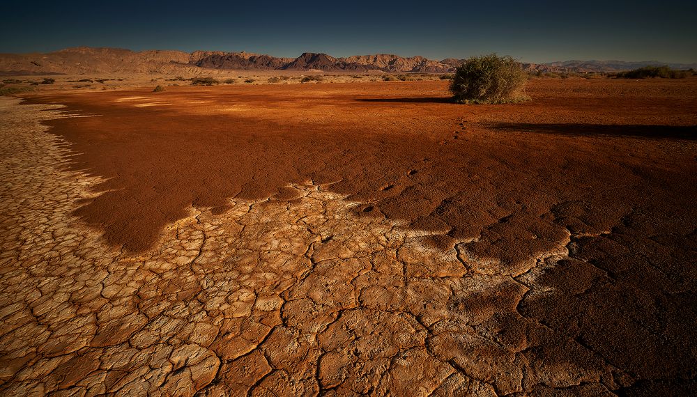 Photograph by Boris Bekelman