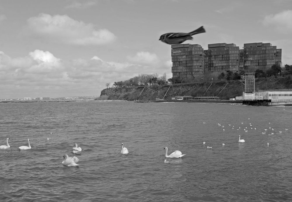 Photograph by Татьяна Казьмина