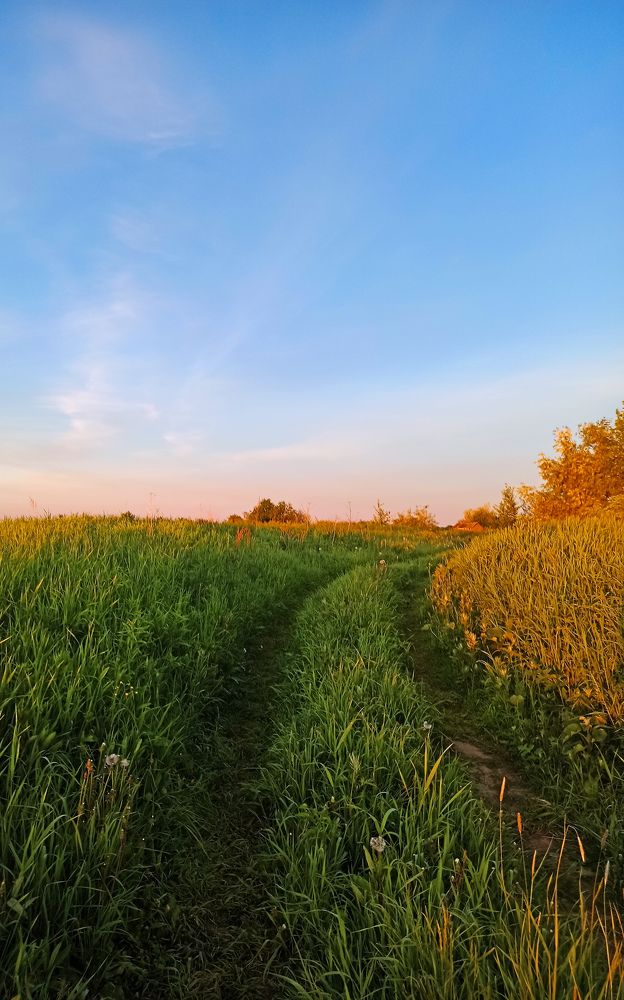 Photograph by Ольга Ситникова