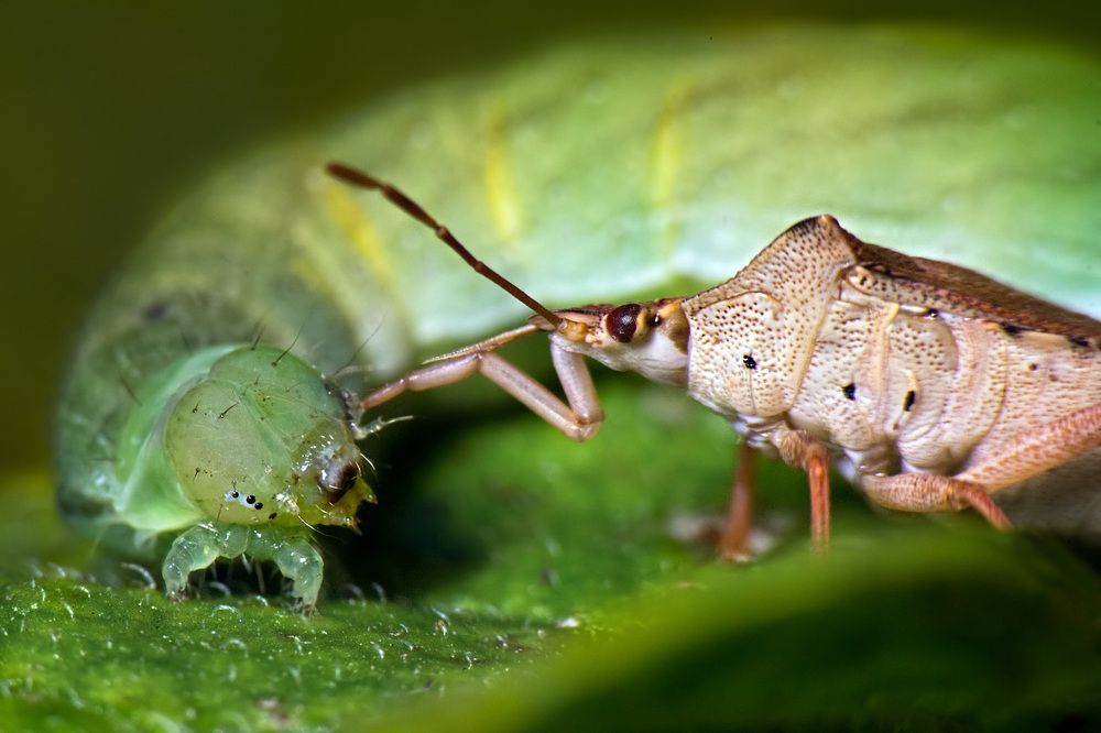 Фотография автора Борис Журавлёв