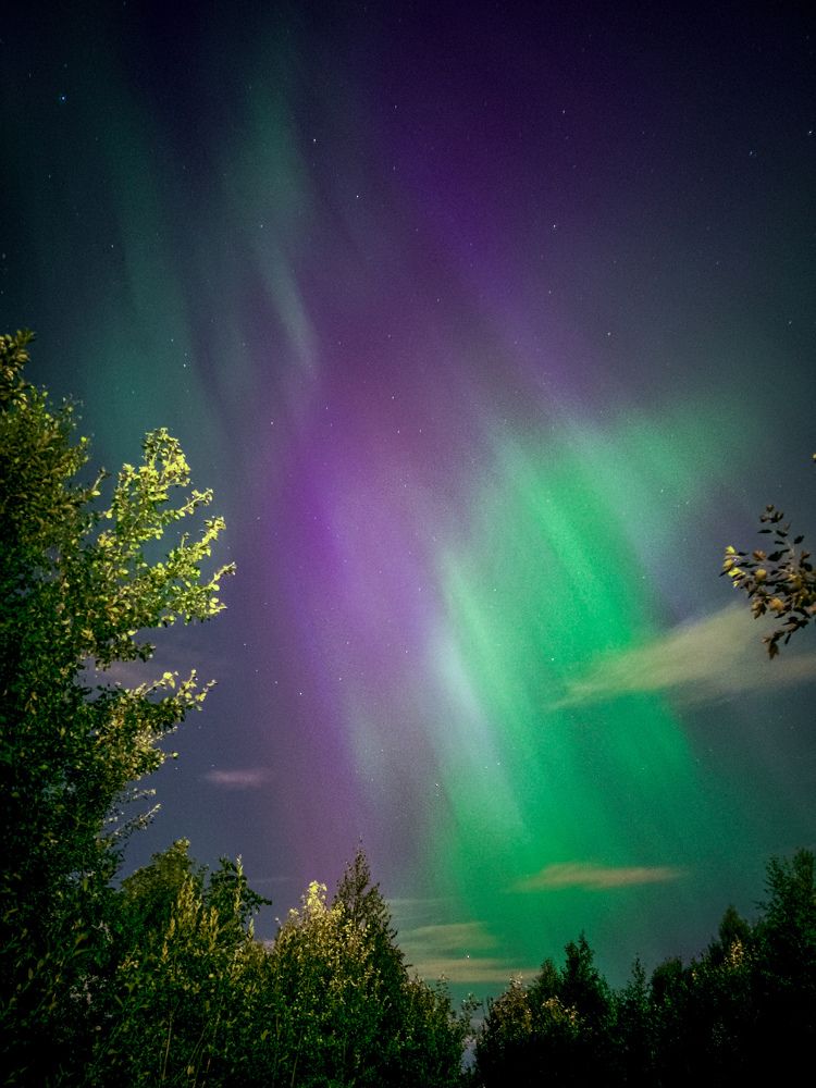 Photograph by Дулова Анастасия