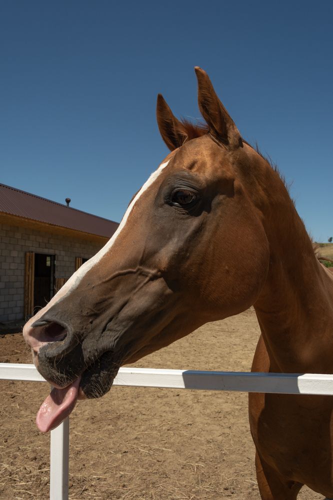 Photograph by Ольга Салтыкова