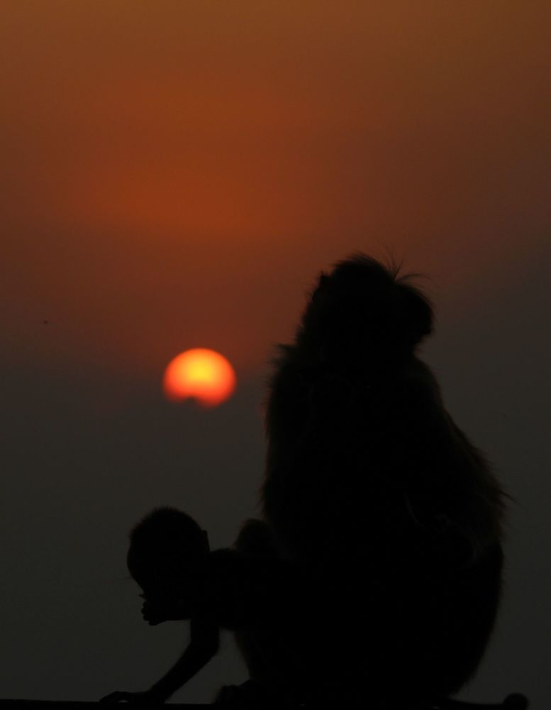 Photograph by Mathew Nishanth A