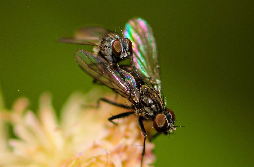 Photograph by Mathew Nishanth A