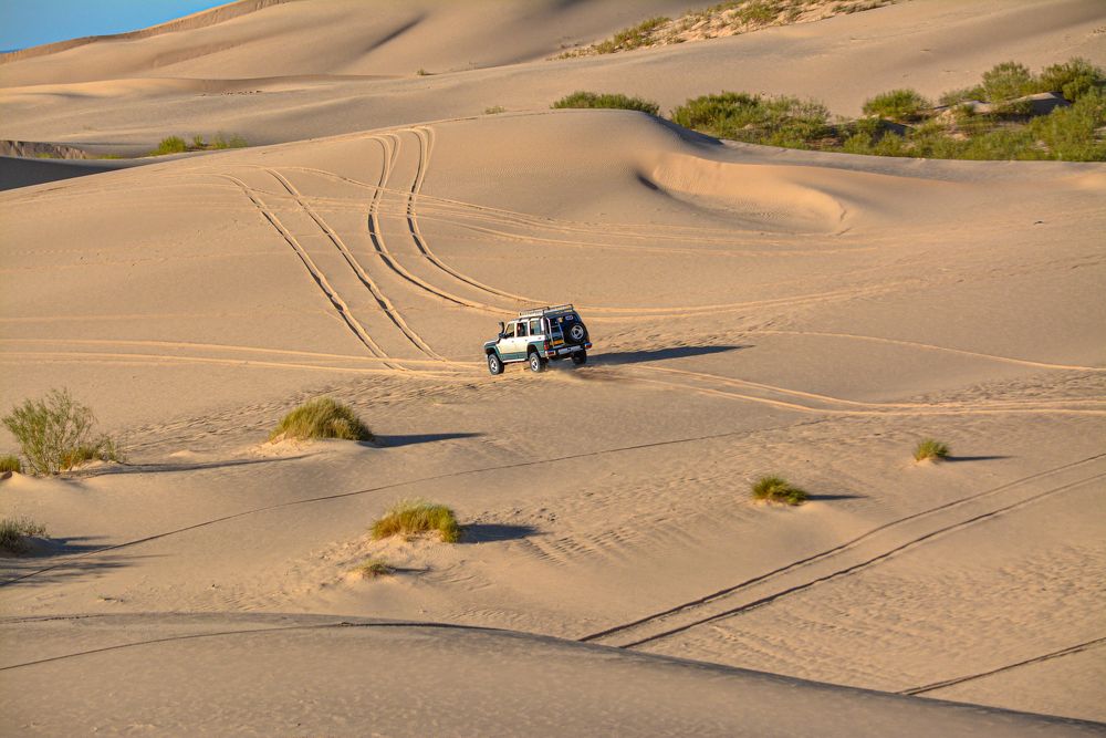 Desert Sand zaefaran