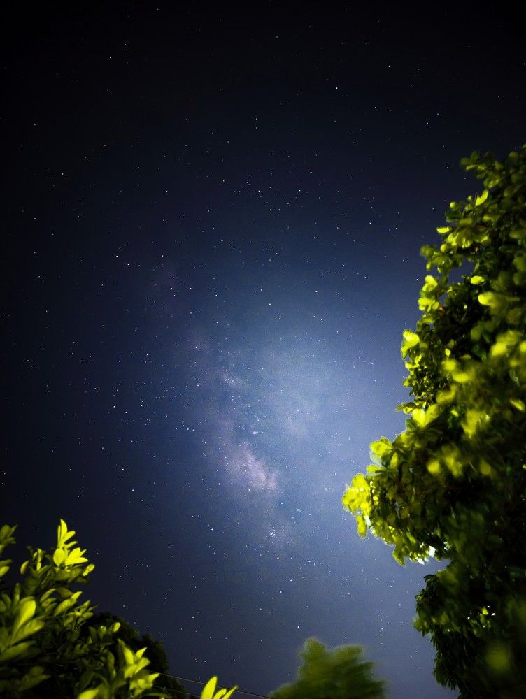 Photograph by Javier Hernandez