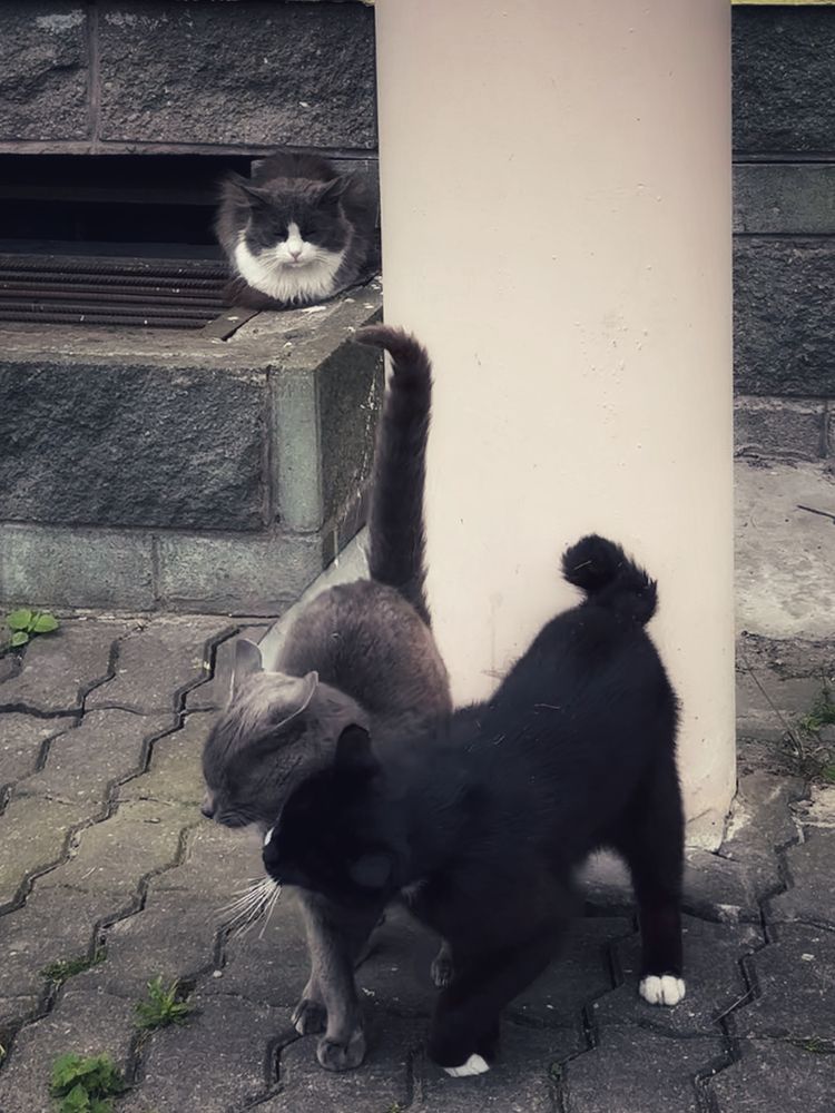 Photograph by Zhanna Kolesnikova