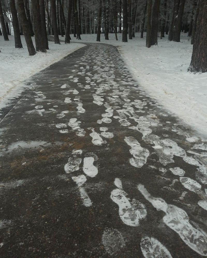 Фотография автора Борис Журавлёв