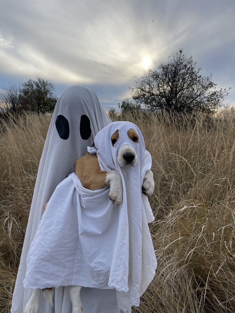 Photograph by Олена Уманцева