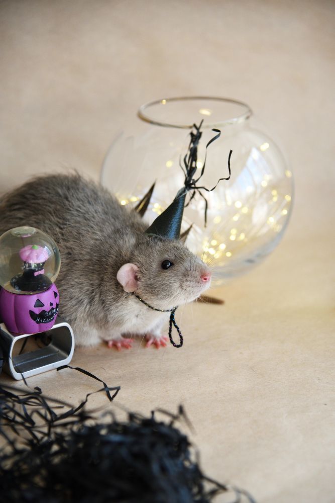 Photograph by Оксана Астрова