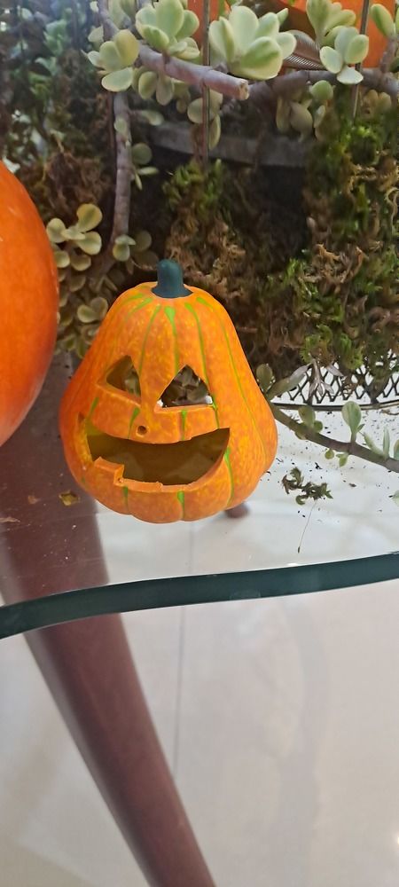 Photograph by mahboube moradalizade