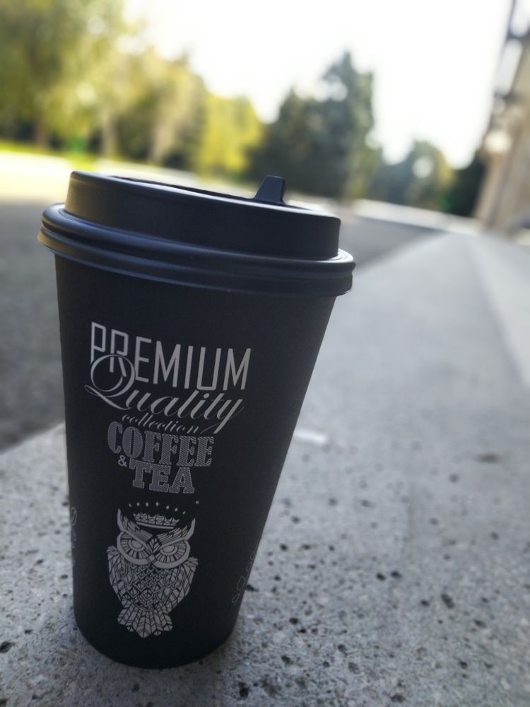 Фотография автора Анатолий Дячина