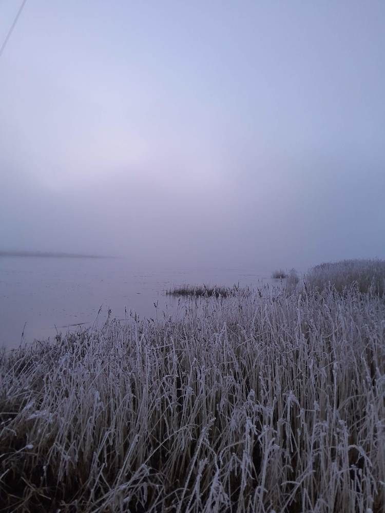 Photograph by Виталий