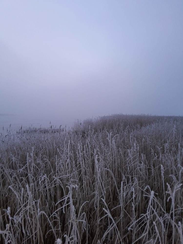 Photograph by Виталий