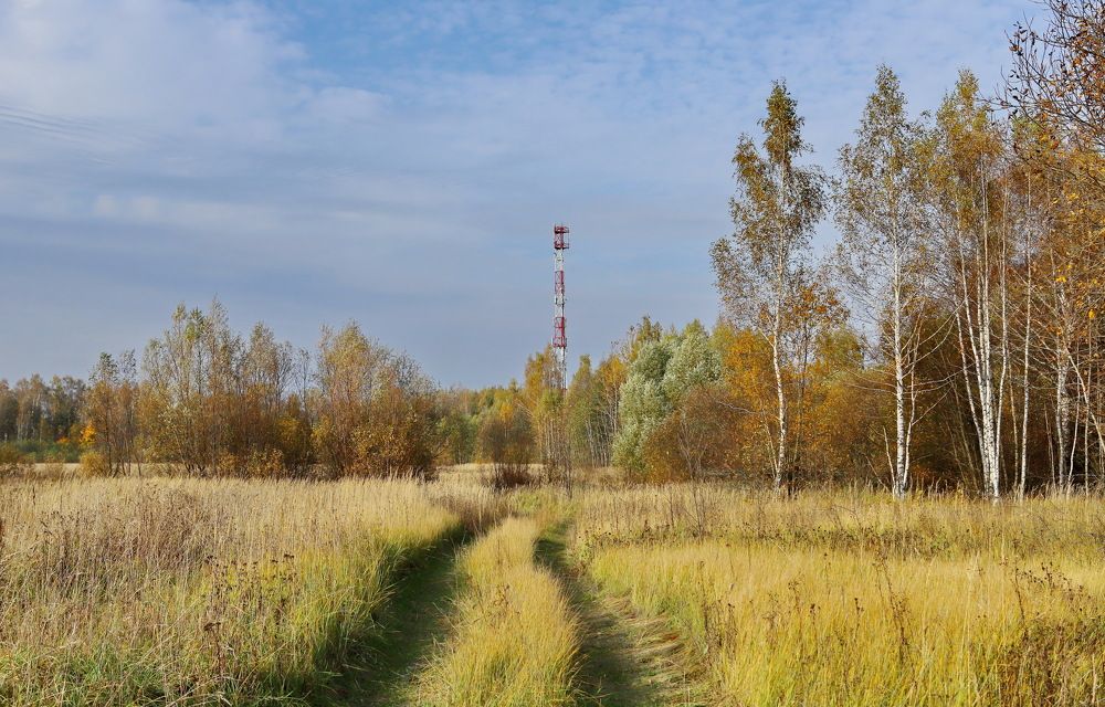 Фотография автора Илья К