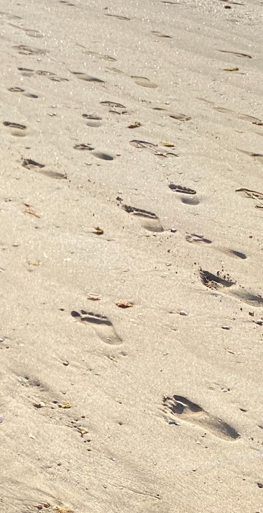 Photograph by Waleed Yousuf Alwahaibi